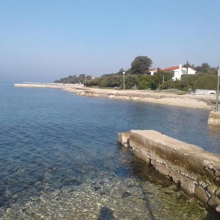 Apartmani Matela Petrčane Dış mekan fotoğraf